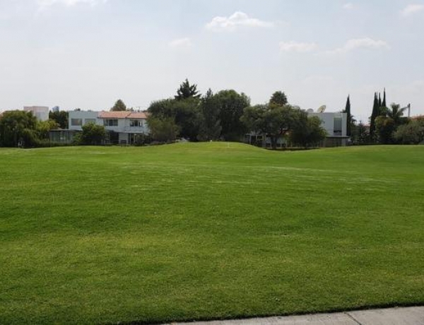 Terrenos